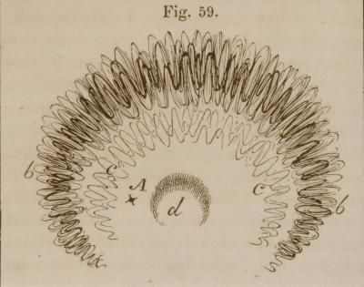 C.G.T. Ruete, Flimmerskotom, 1845 – erste medizinische Abbildung